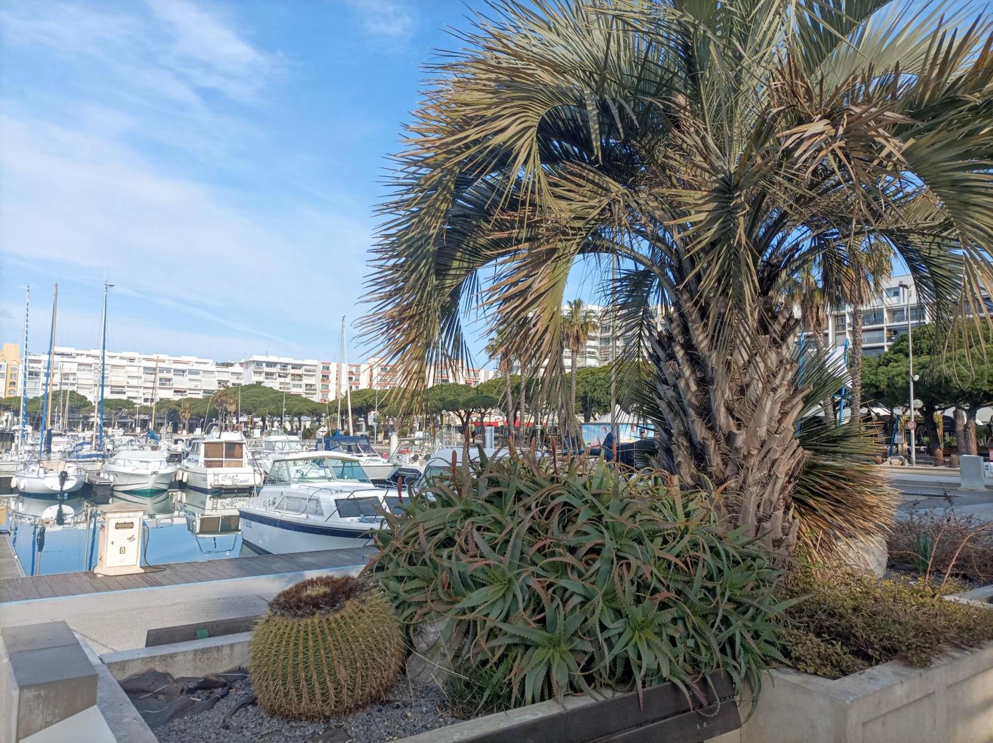 Studio Port De Plaisance Mauguio Extérieur photo